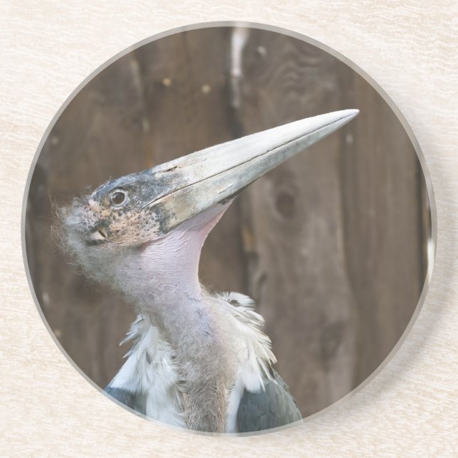 Marabou Stork Coaster (Front)