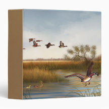 Marais Classeur extérieur Ducks