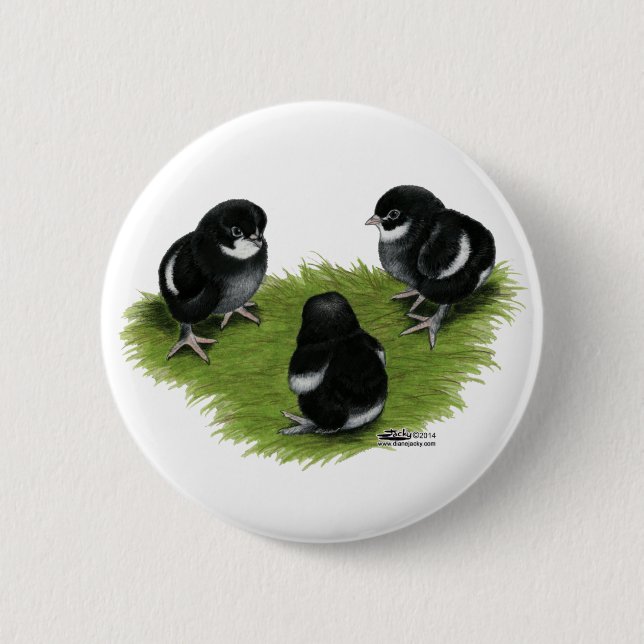 Marans Black Copper Chicks 2 Inch Round Button (Front)