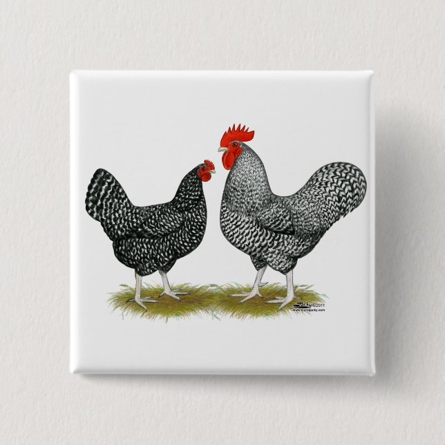 Marans:  Cuckoo Pair 2 Inch Square Button (Front)