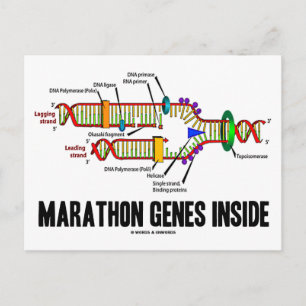 Marathon Genes Inside (DNA Replication) Postcard