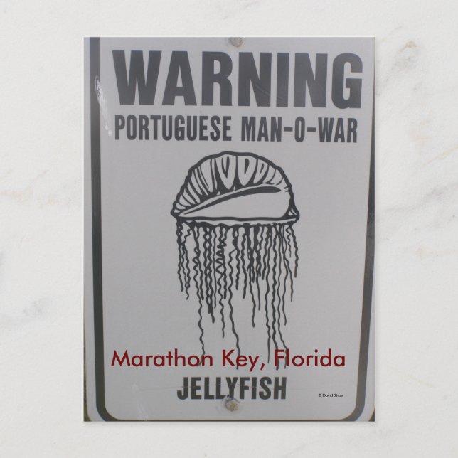 Marathon Key, Florida Postcard (Front)
