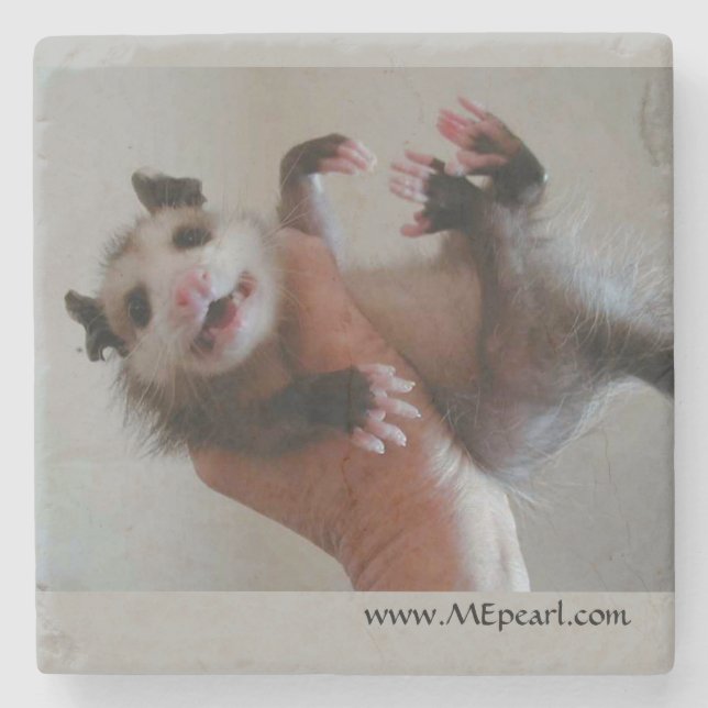 Marble Coaster with Opossum (Front)