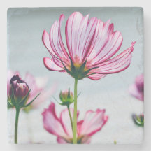 Marble Cosmos Coaster