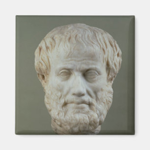 Marble head of Aristotle Magnet