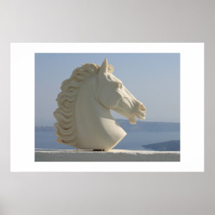 Marble horse head poster
