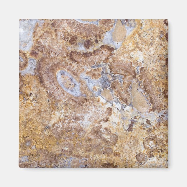 Marble pattern background magnet (Front)
