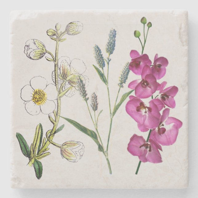 Marble Stone Coaster - English Country Kitchen 2 (Front)