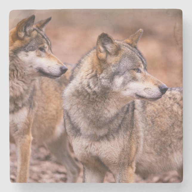 Marble Stone Coaster-Wolves Coaster (Front)