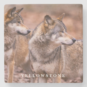 Marble Stone Coaster-Yellowstone Wolves Coaster