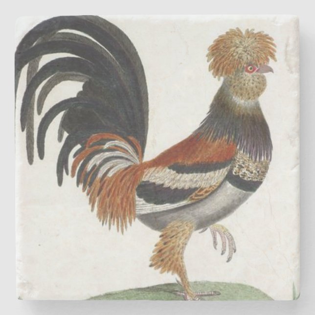 Marble Stone French Bird Stone Coaster (Front)