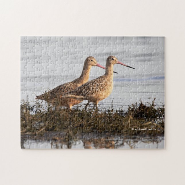 Marbled Godwits Shorebirds Wandering Blackie Spit Jigsaw Puzzle (Horizontal)