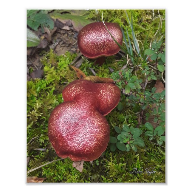 Marbled Twins Photo Print (Front)
