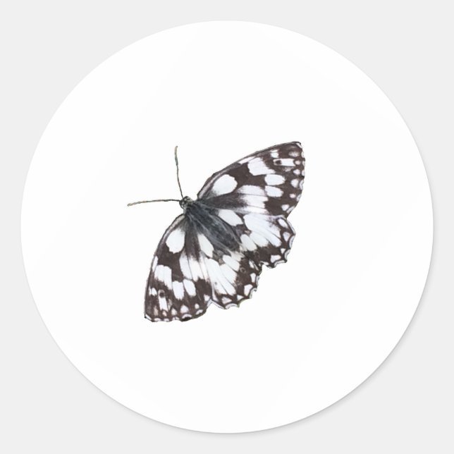 Marbled White Butterfly Classic Round Sticker (Front)