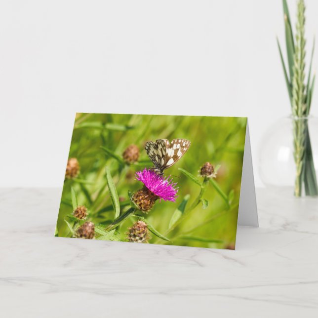 Marbled White Butterfly Note  Card (Front)