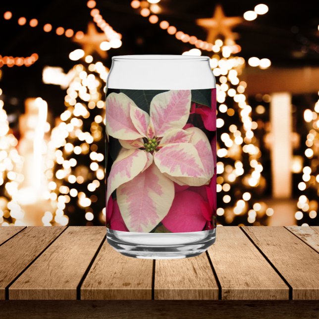 Marbre rose et crème Poinsettia vacances (In Situ Holidays)