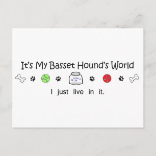 march1615BassetHound.jpg Postcard