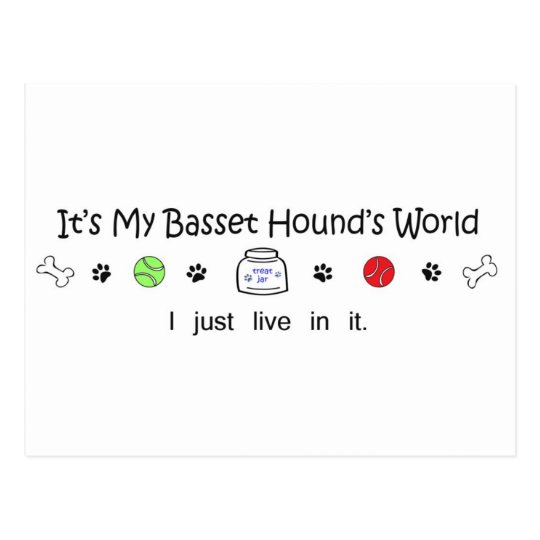 march1615BassetHound.jpg Postcard