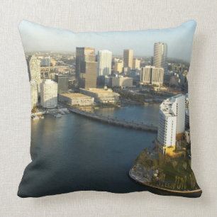 March 2006. throw pillow