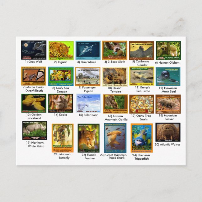 March 31, 2018, index page, 24 pack postcard (Front)