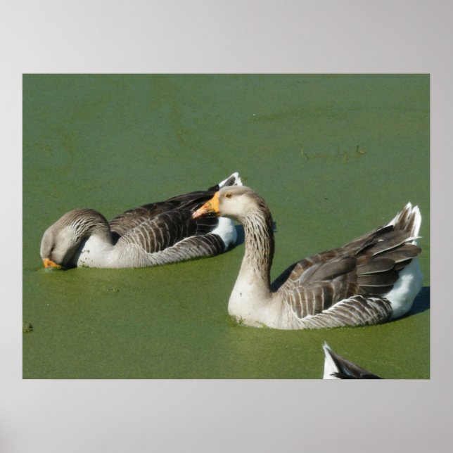 March 4 (51) Canvas Poster (Front)