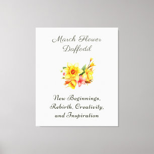 March Birth Month Flower Daffodil Birth Gift     Canvas Print