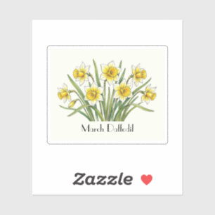 March Daffodil Flowers  Sticker