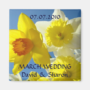 March Wedding! Announcement magnet Daffodils