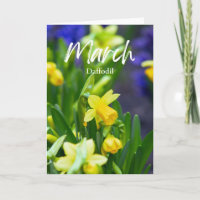 March Yellow Daffodil Birth Month Flower Birthday