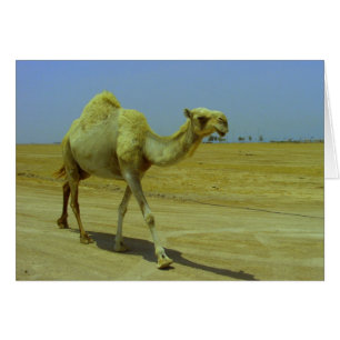 Marchant la longue route