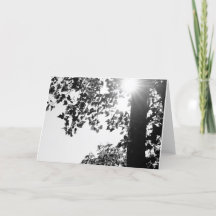 Marche au soleil carte de note w/envelop