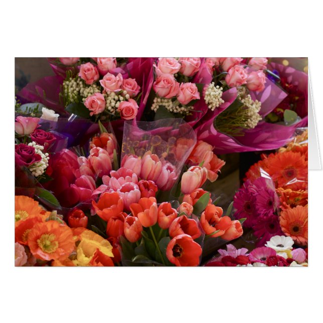 Marché aux fleurs sud-africains (Devant horizontal)