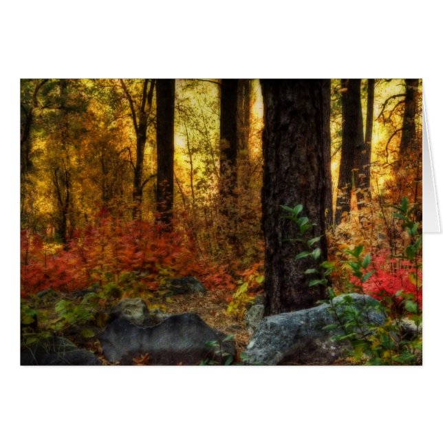 Marche matinale (Devant horizontal)