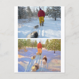 Marcher dans la carte postale de la forêt