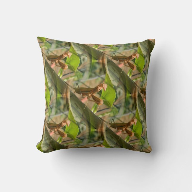 Marchin' On..... Throw Pillow (Front)