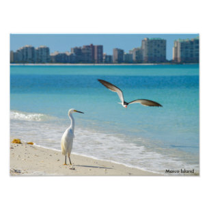 Marco Island Photo Print