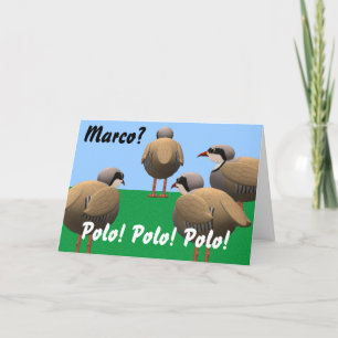 Marco Polo Birthday Card