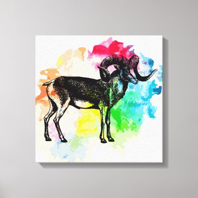 Marco polo sheep canvas print (Front)