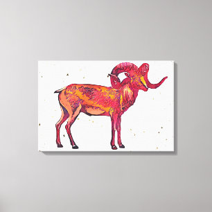 Marco polo sheep canvas print