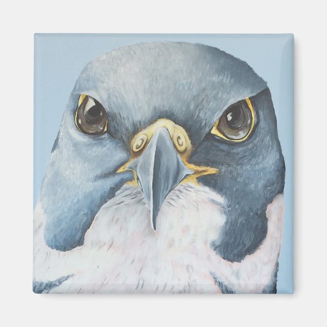 Marco, the Peregrine Falcon Magnet (Front)