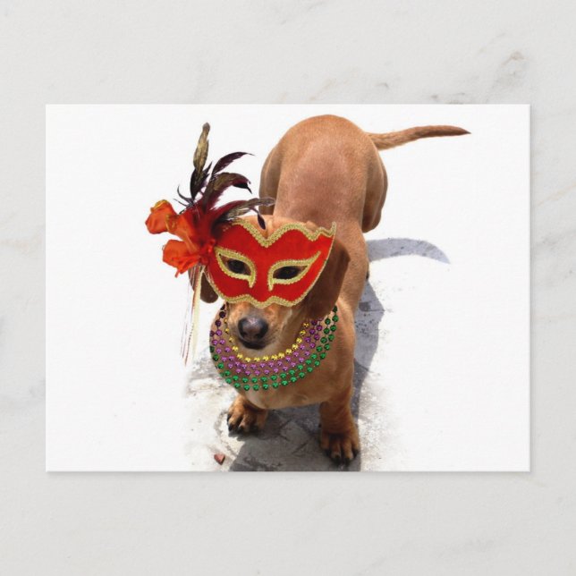 Mardi Gras Dachshund Dog postcard (Front)