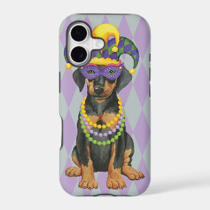 Mardi Gras Dobe