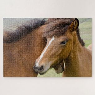 Mare And Colt Jigsaw Puzzle