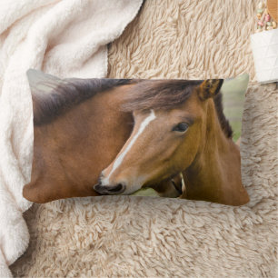 Mare And Colt Lumbar Pillow