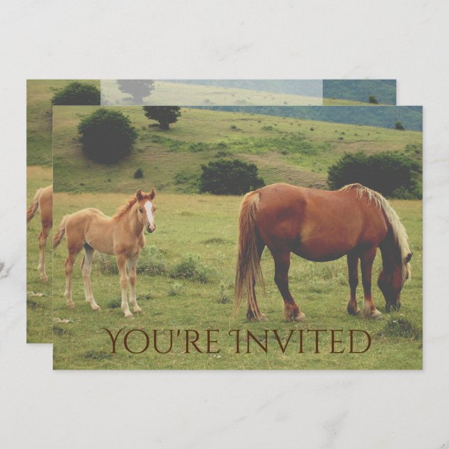 Mare and Foal Horse Neutral Baby Shower Invitation (Front/Back)