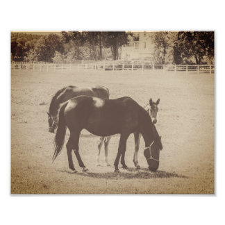Mare and Foal Horses Sepia Brown Fine Art Photo Print
