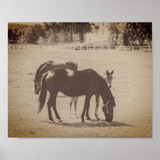 Mare and Foal Horses Sepia Brown Fine Art Poster