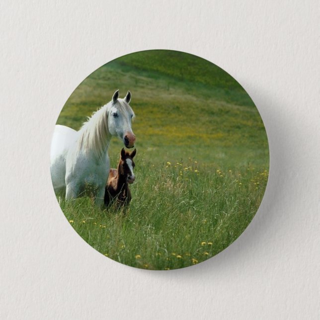 Mare and Foal in Tall Grass 2 Inch Round Button (Front)