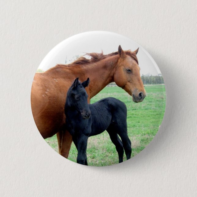 Mare and Her Colt 2 Inch Round Button (Front)