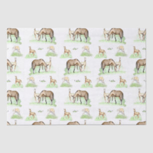 Mare and Horse Foal Pattern Tissue Paper